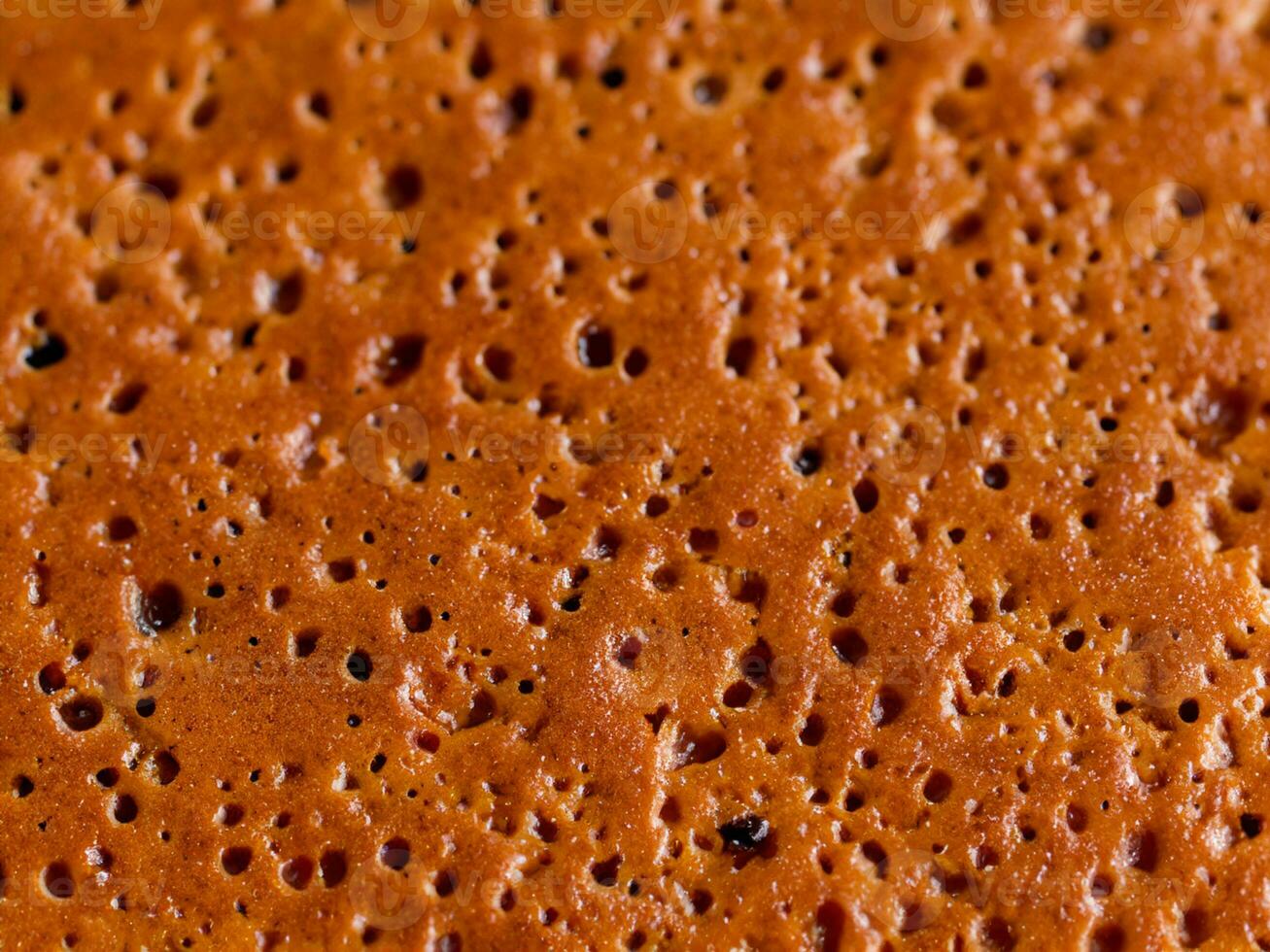 close up of a delicious sponge cake photo