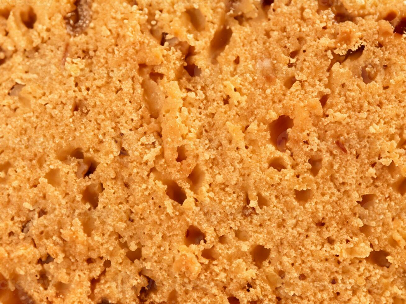 close up of a delicious sponge cake photo