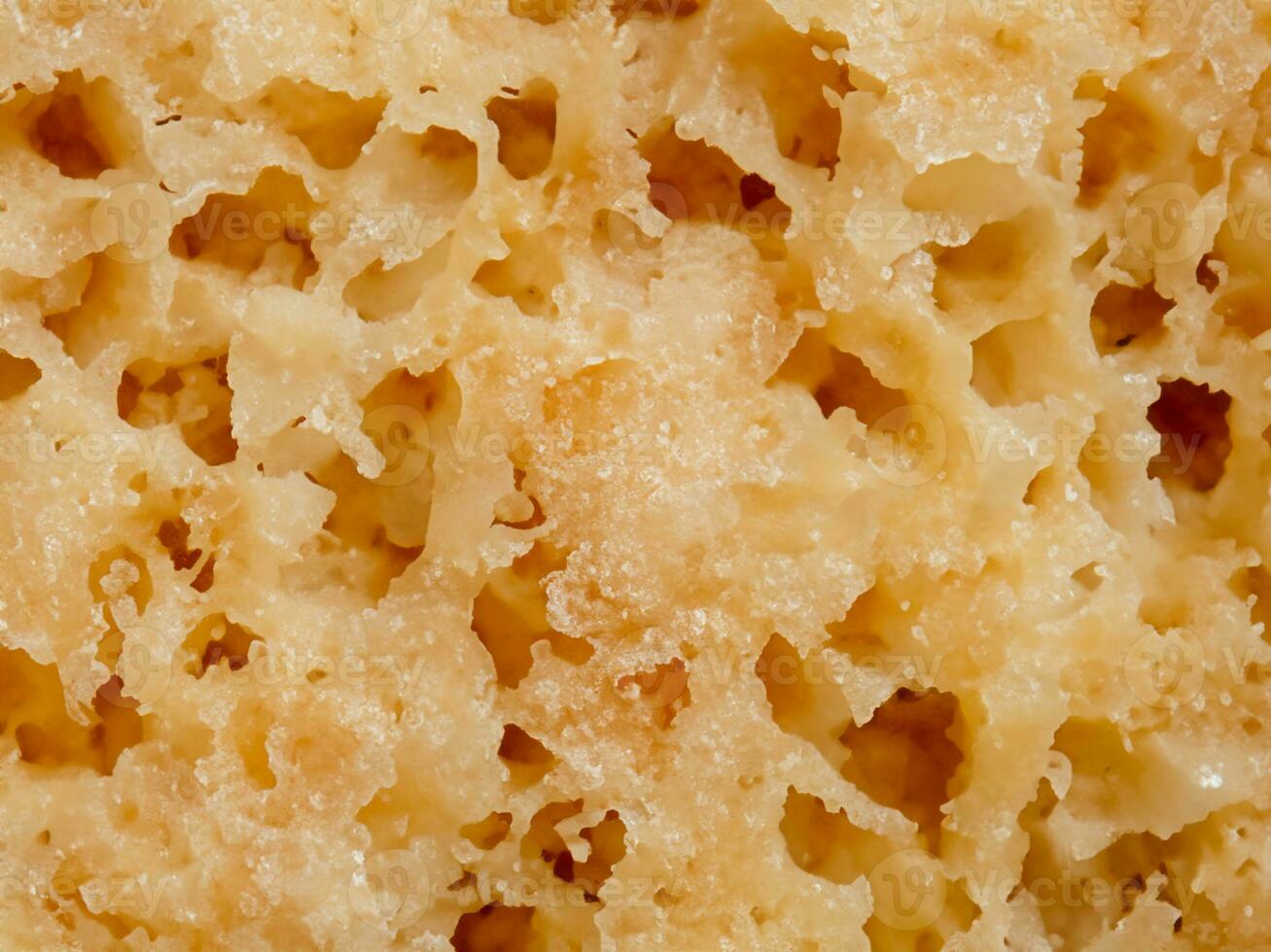 close up of a delicious sponge cake photo