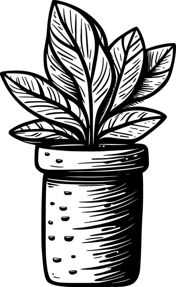 black and white illustration of a pot with plant. photo