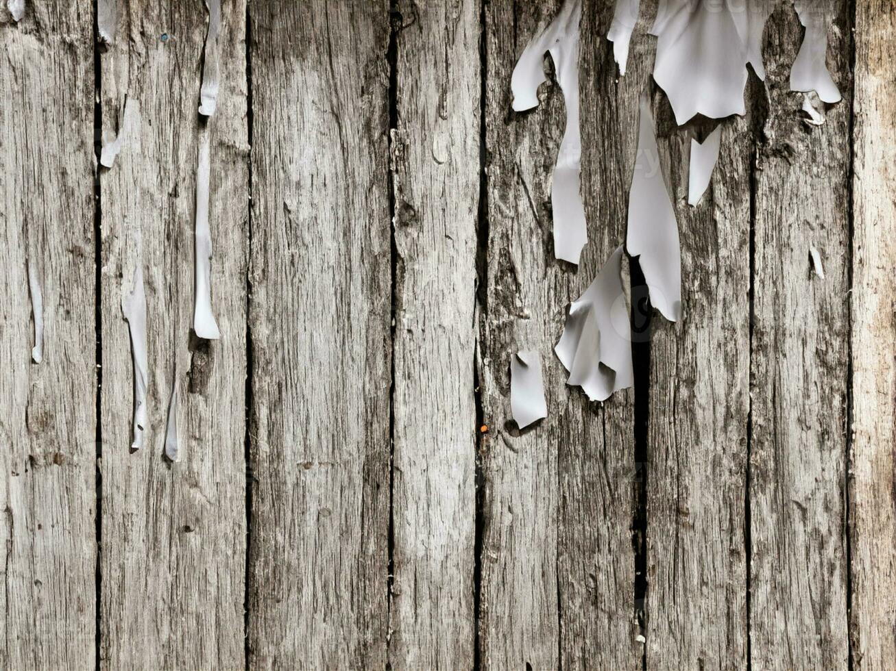 old wooden background with cracks photo