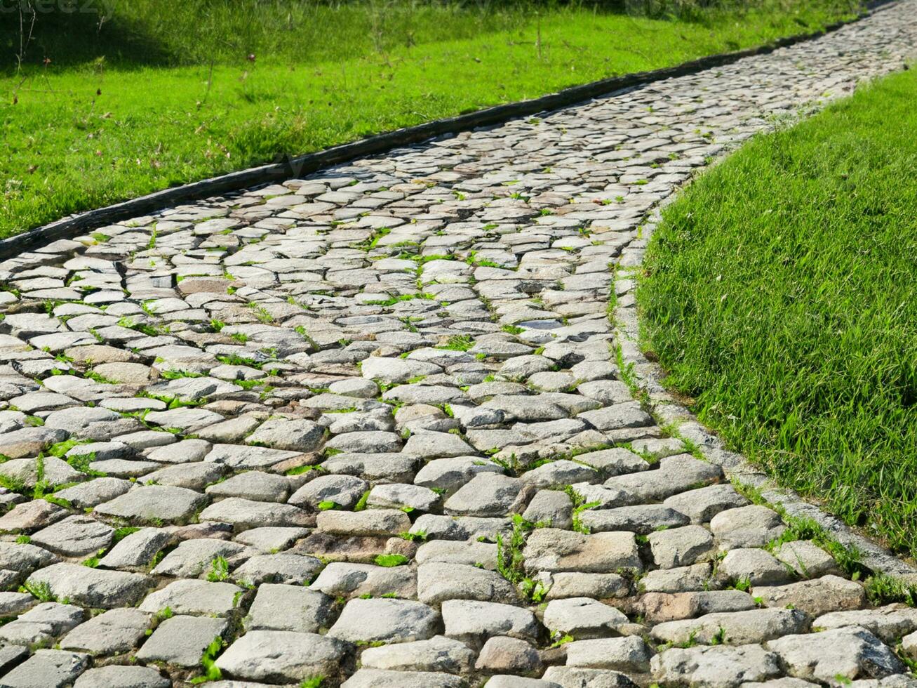 cobblestone path in the park photo
