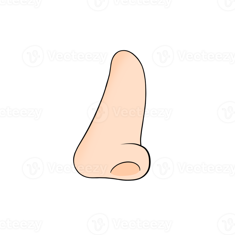 nose body part png