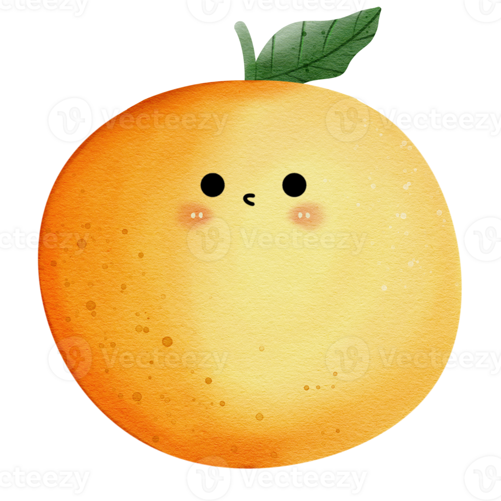Watercolor illustration of cute orange fruit characters png