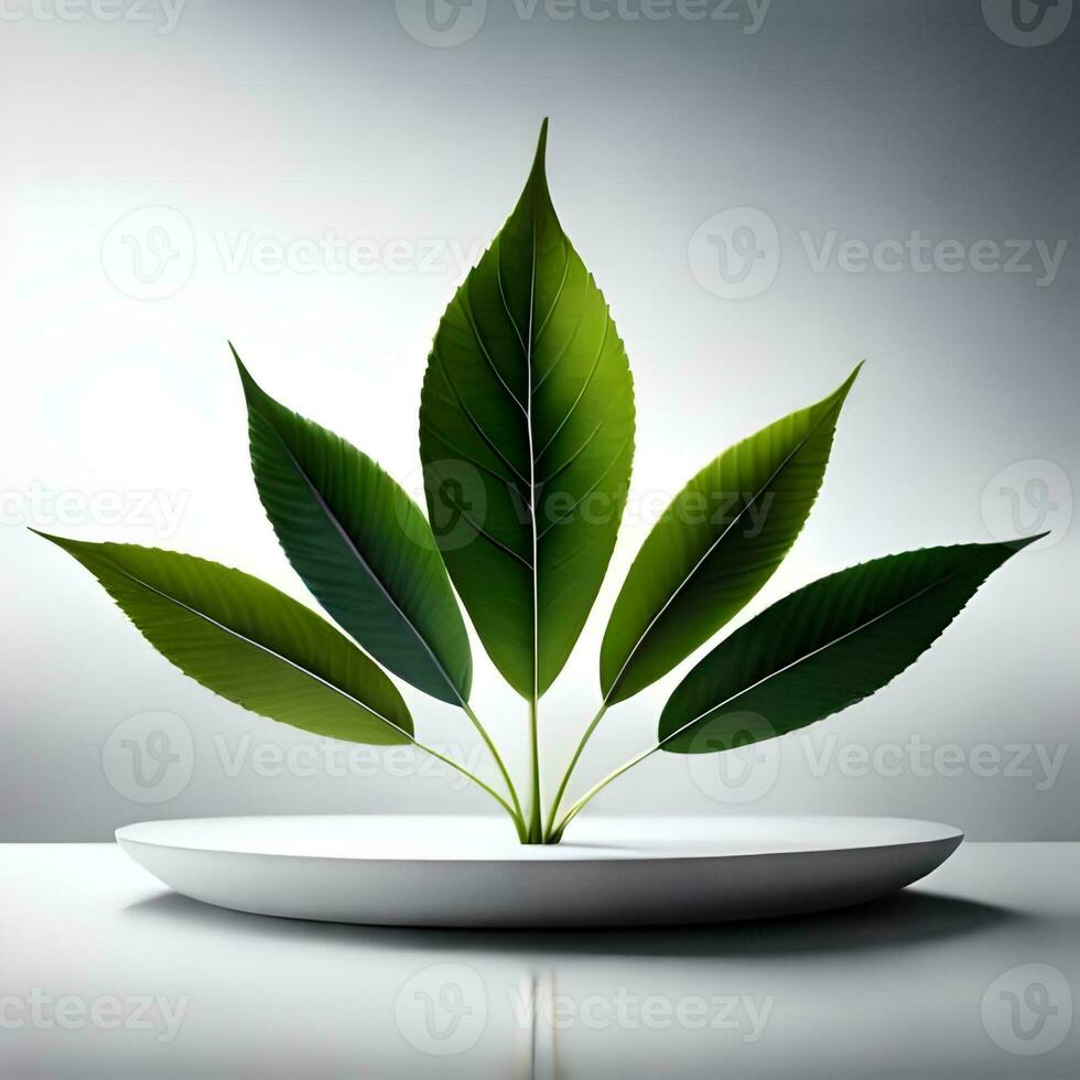 Green leaves with a white background on the table are neatly arranged in the reflection of white light, good for use as backgrounds, blogs, websites, companies, etc. Generative Ai Image photo