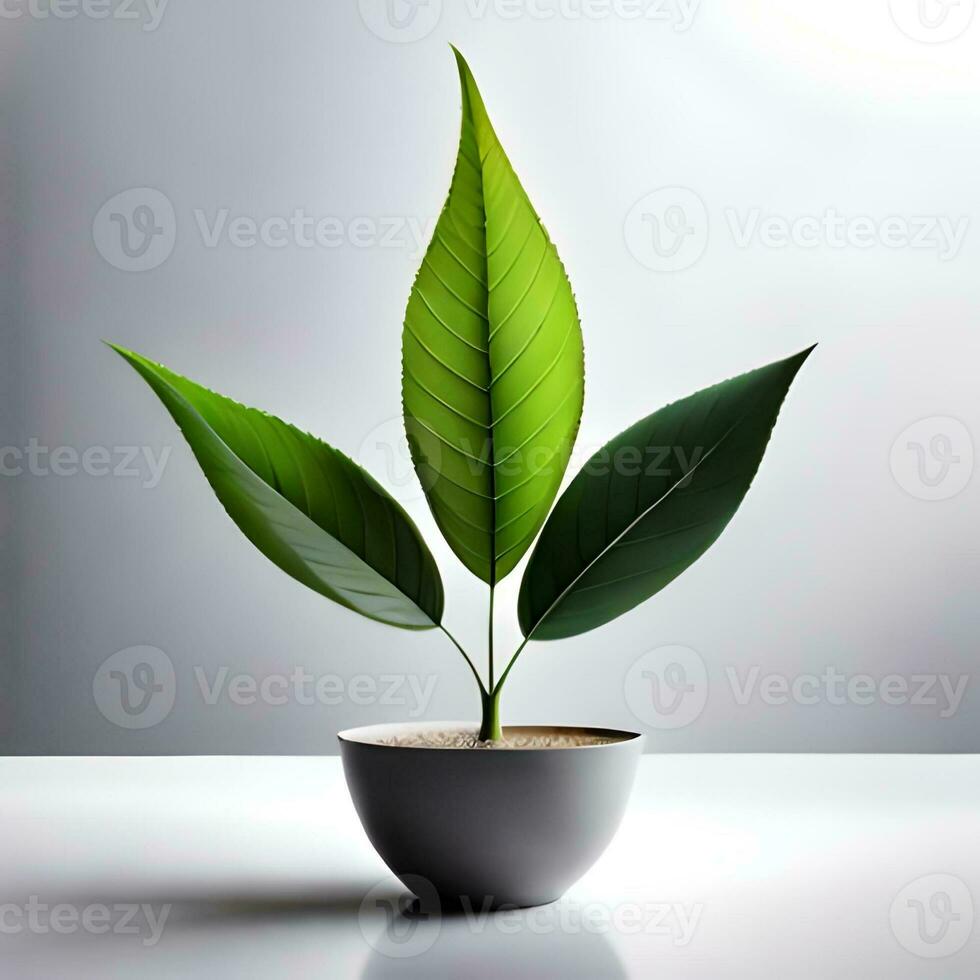 Green leaves with a white background on the table are neatly arranged in the reflection of white light, good for use as backgrounds, blogs, websites, companies, etc. Generative Ai Image photo
