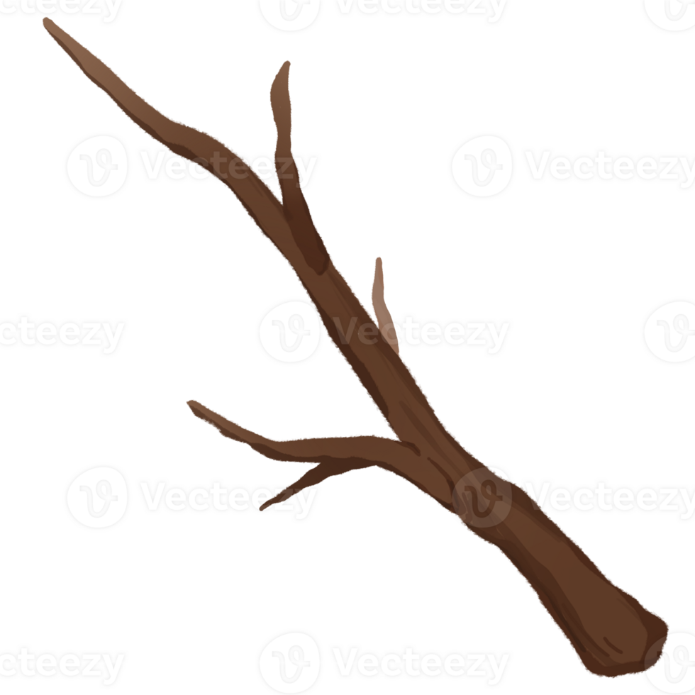a little  branch png