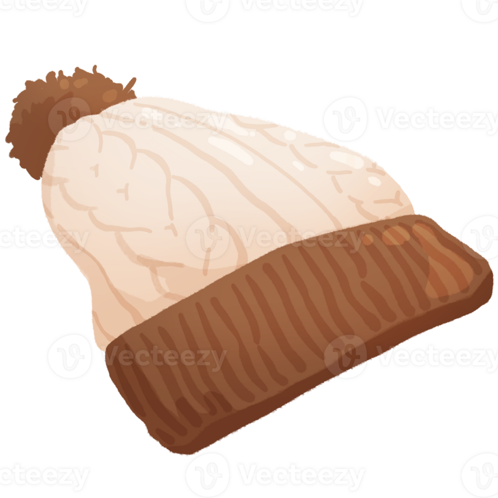 white brown hat png