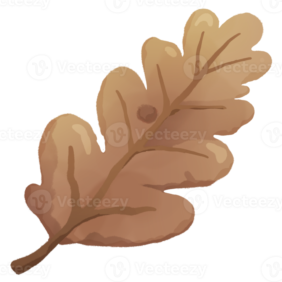 brown oak leaf png