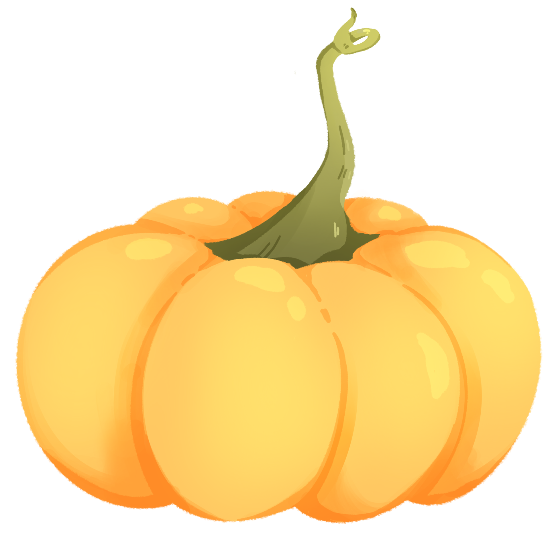 A Yellow Pumpkin 32480579 PNG mellow-yellow-pumpkin-cucurbita-pepo-ferri-seeds