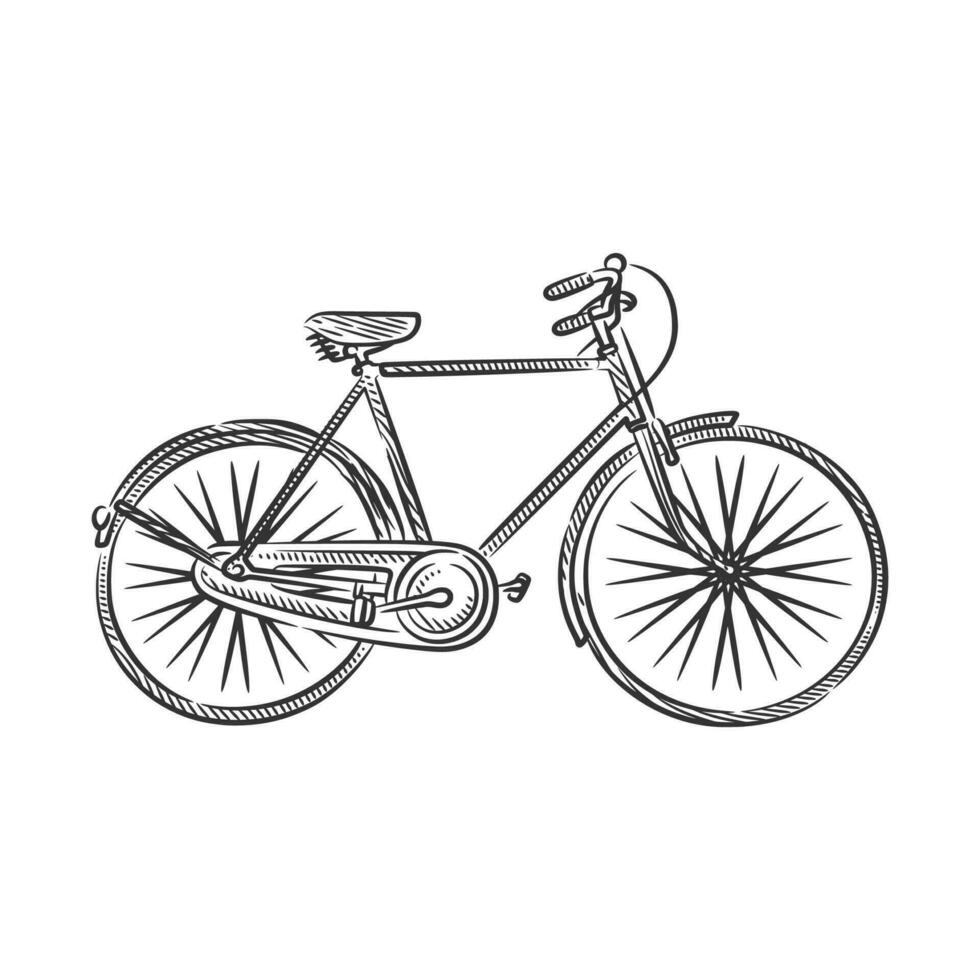 Vintage retro bicycle line art hand drawn vector