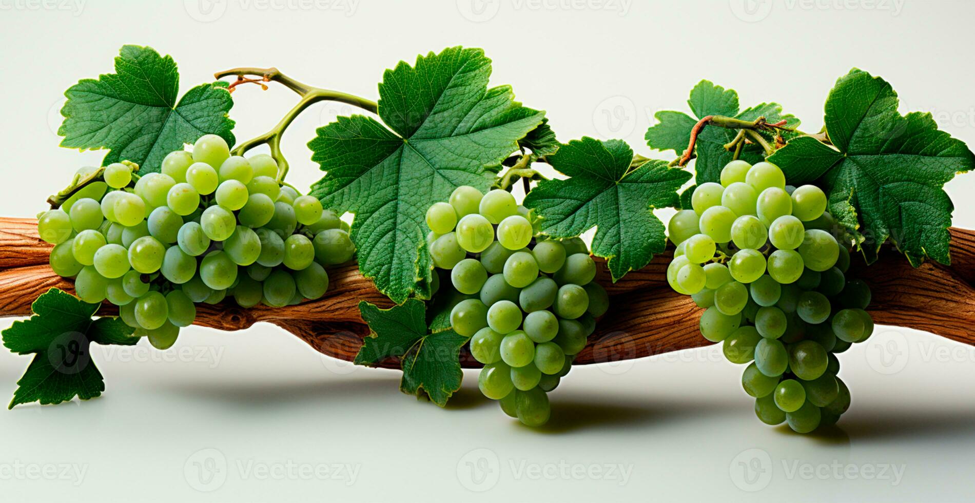 Light grapes on a white background, grapevine - AI generated image photo