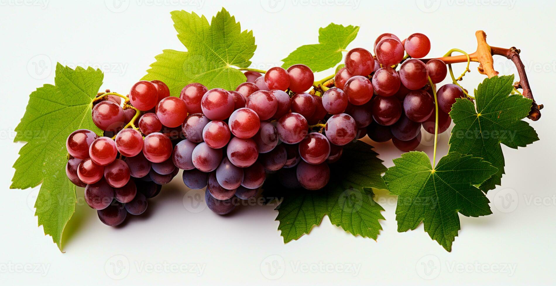 Red grapes on a white background, grapevine - AI generated image photo