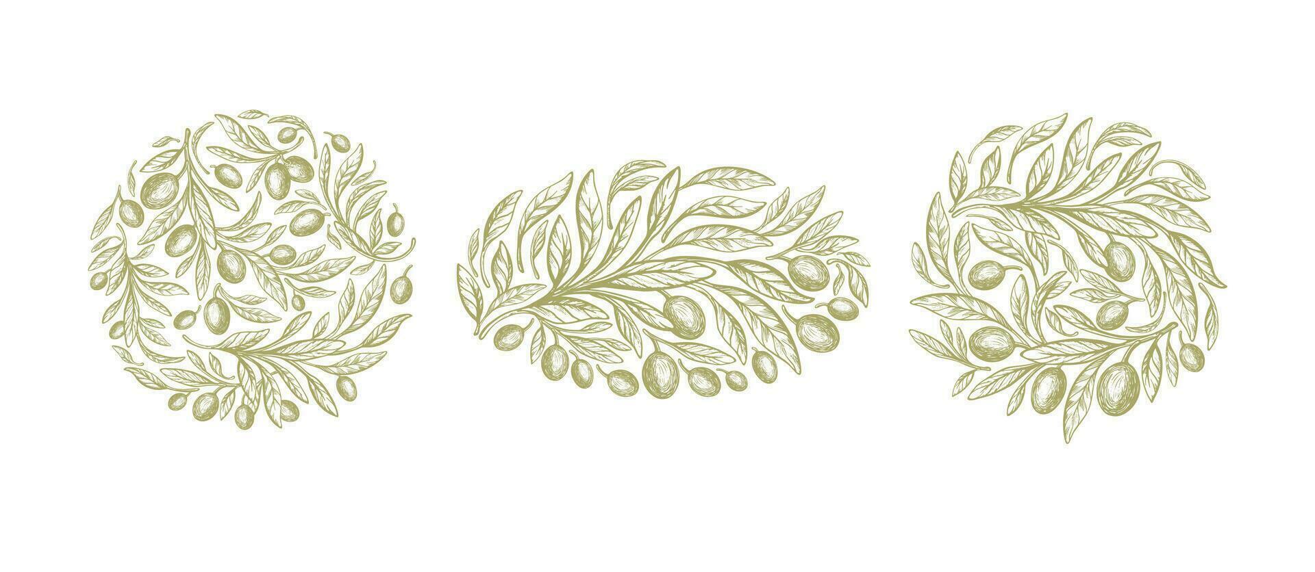 Olive label. Vector set, green leaves, oil fruit