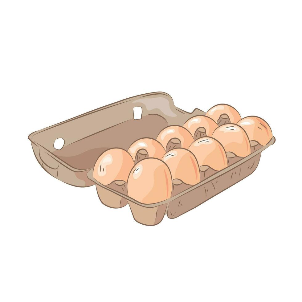 set of eggs vector