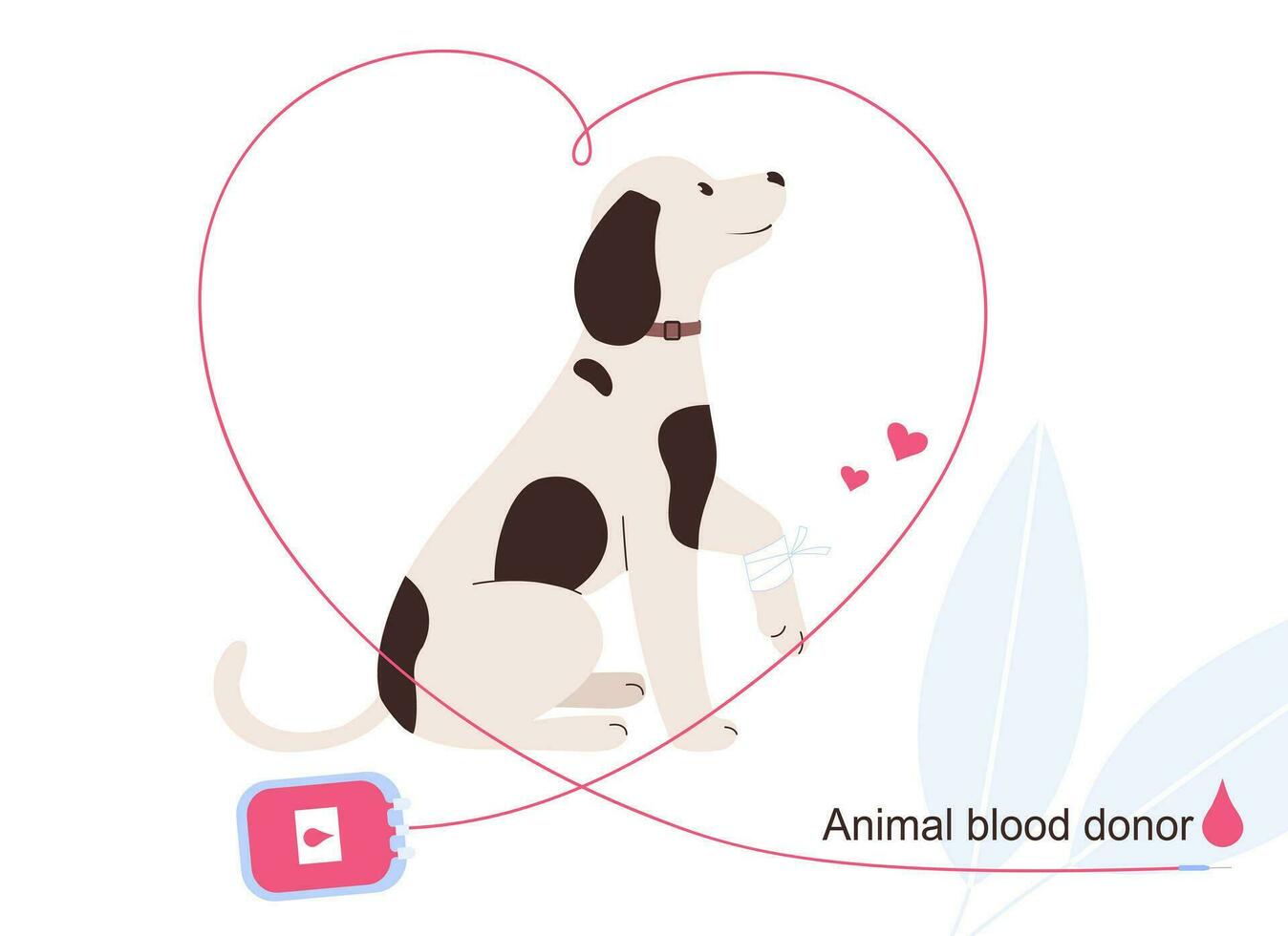 animal sangre donante. perro donante y sangre envase vector