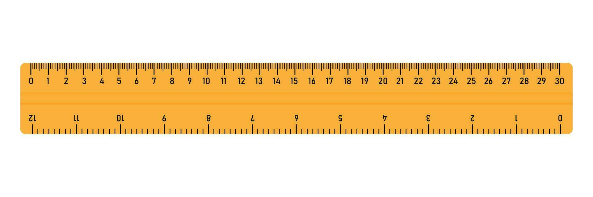 Realistic Ruler Icon Measuring Instrument 30 Cm 12 Inch Ruler Set Isolated  Vector Illustration Stock Illustration - Download Image Now - iStock