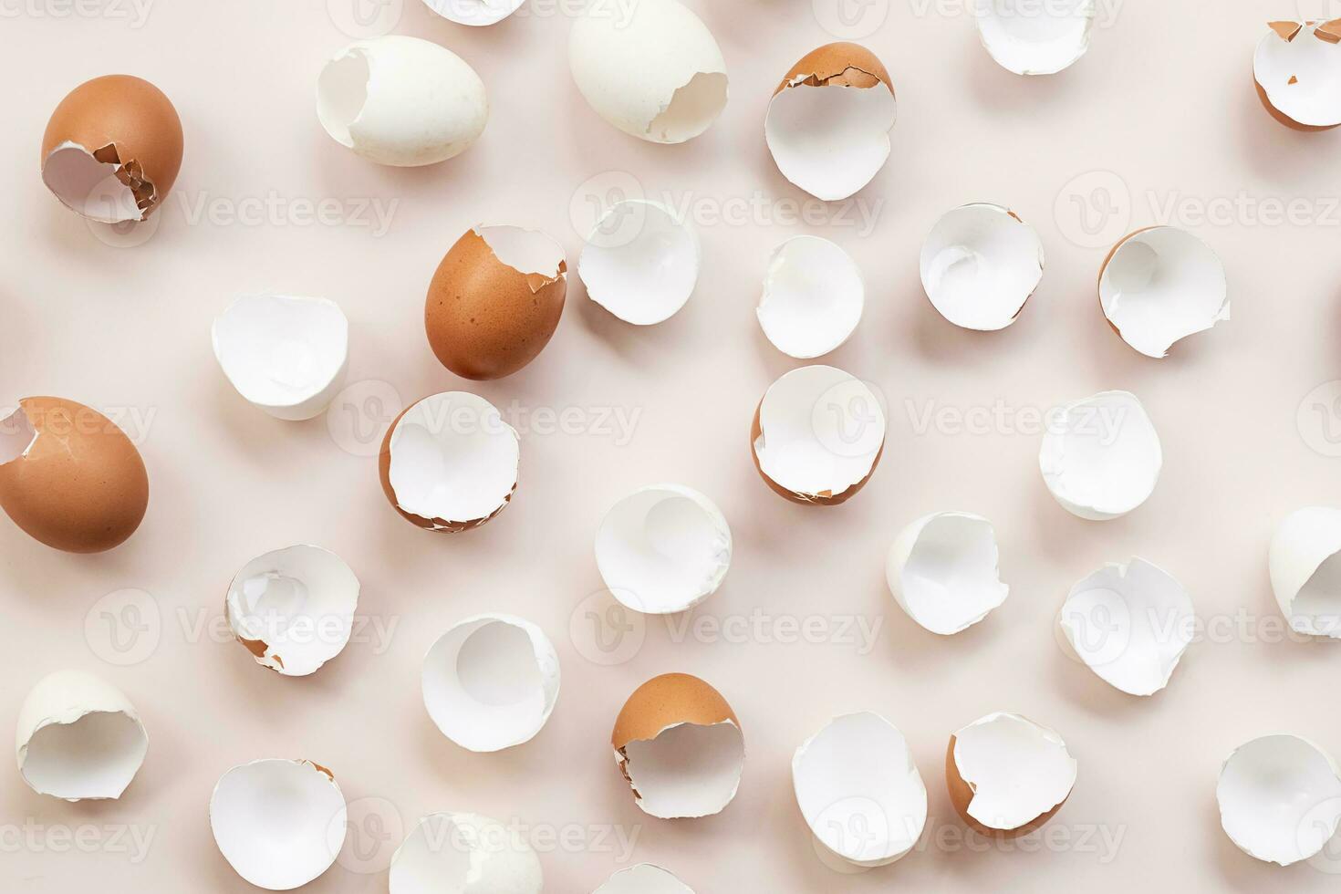 Springtime easter layout. Empty broken chicken eggshells. photo