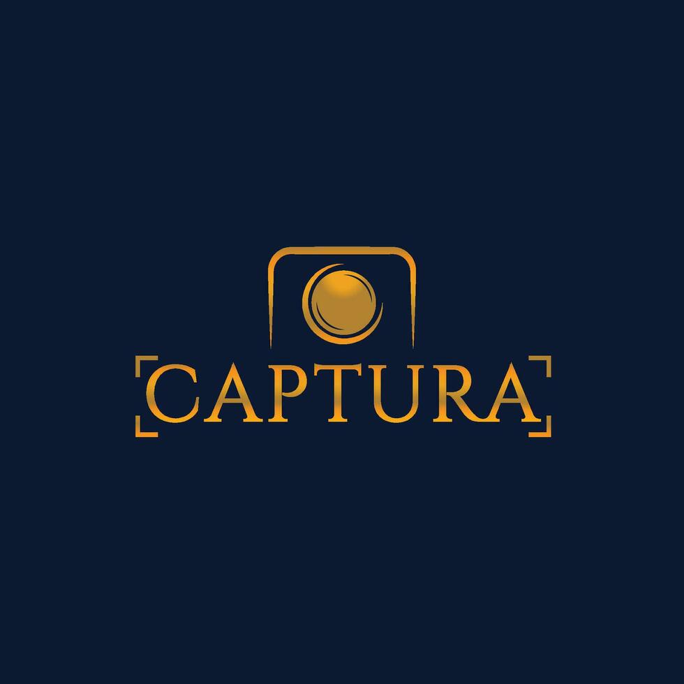 capturar foto logo vector