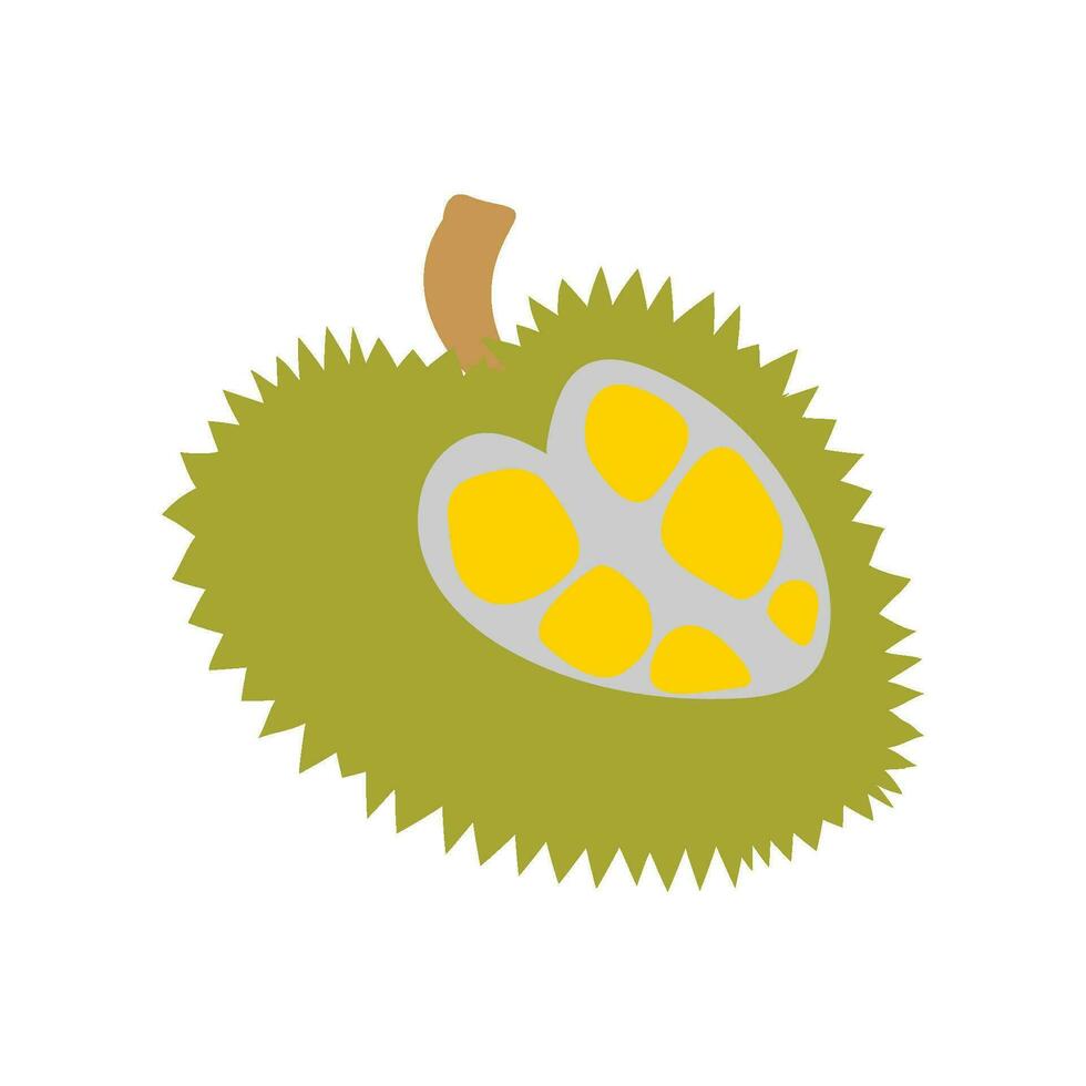 durian fruit icon vector