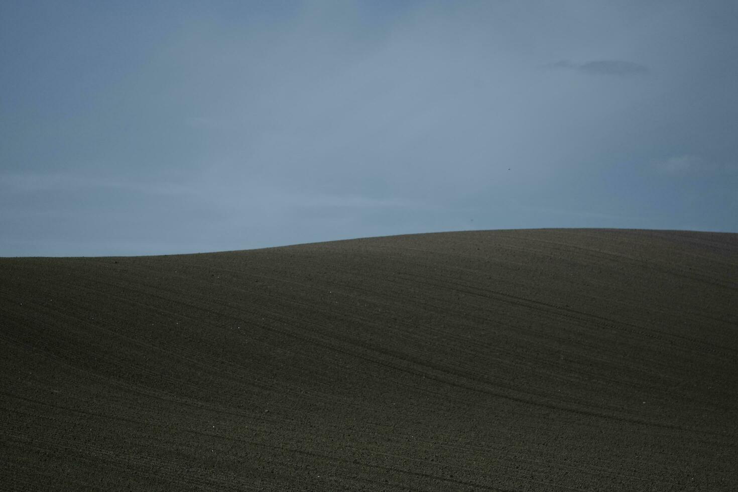 plowed field in the morning photo