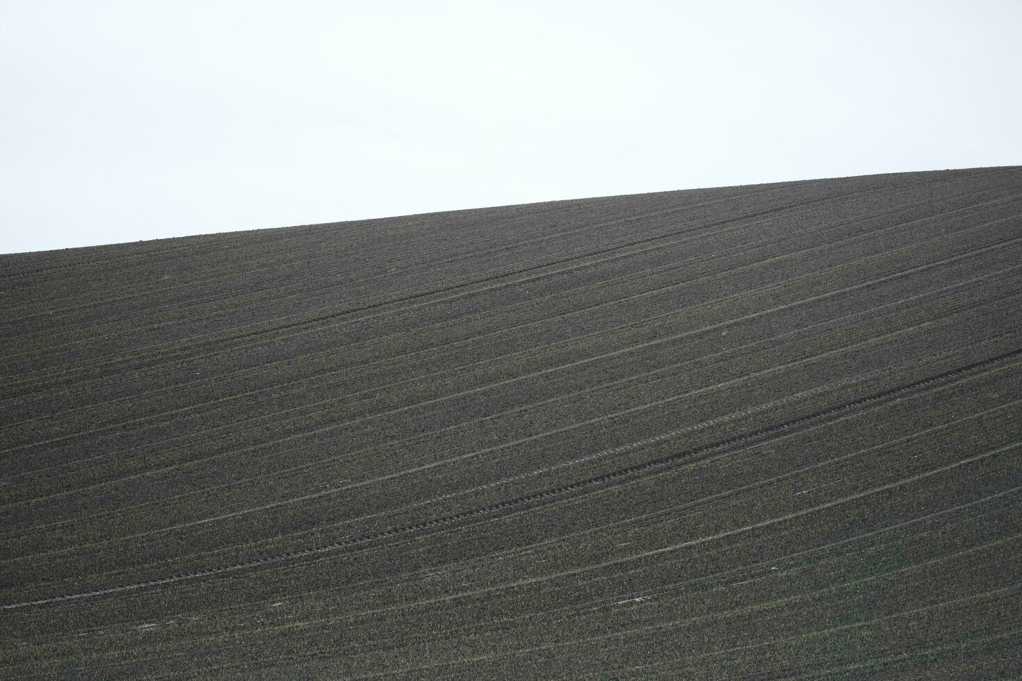 plowed field in the morning photo