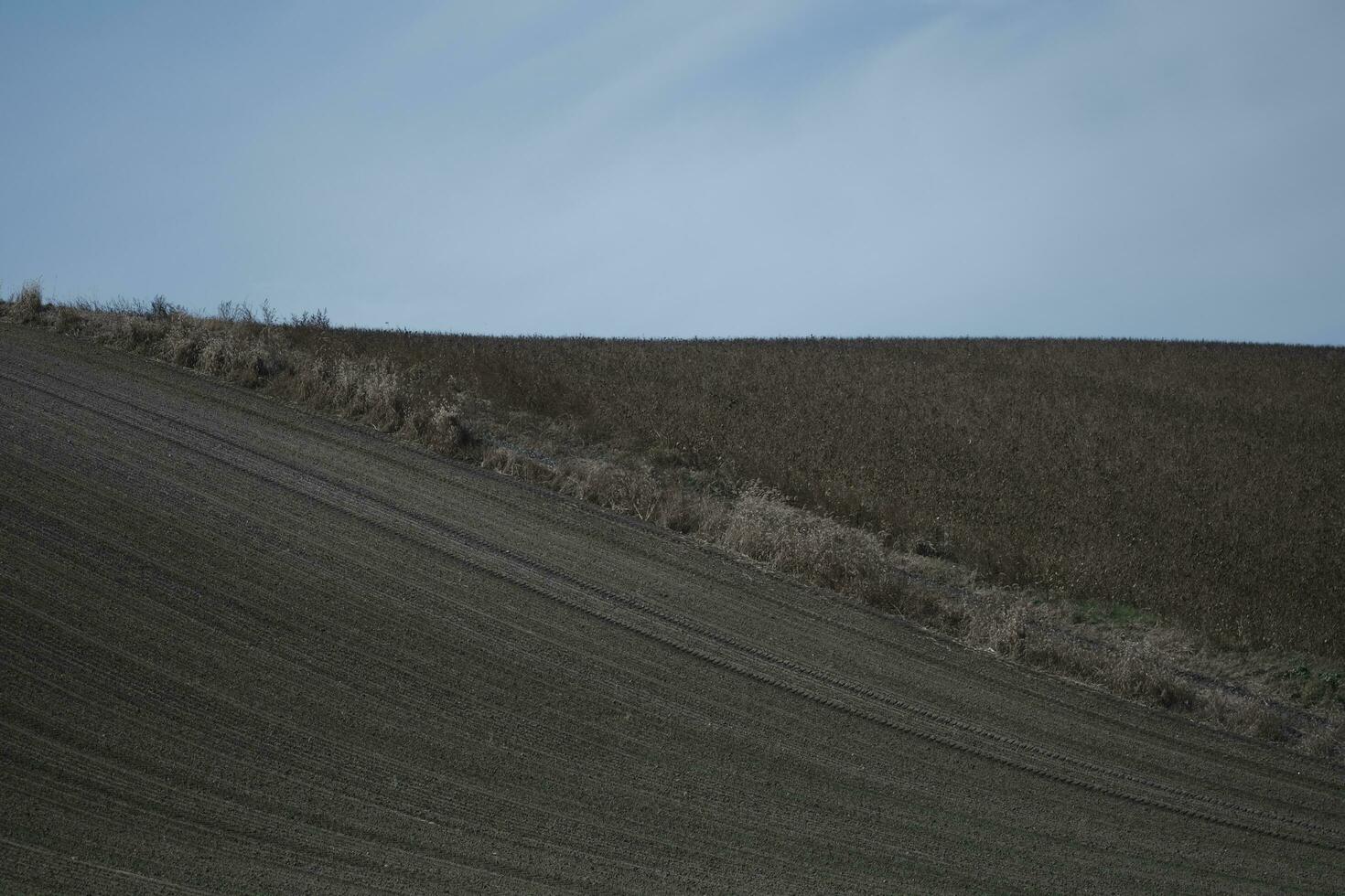plowed field in the morning photo