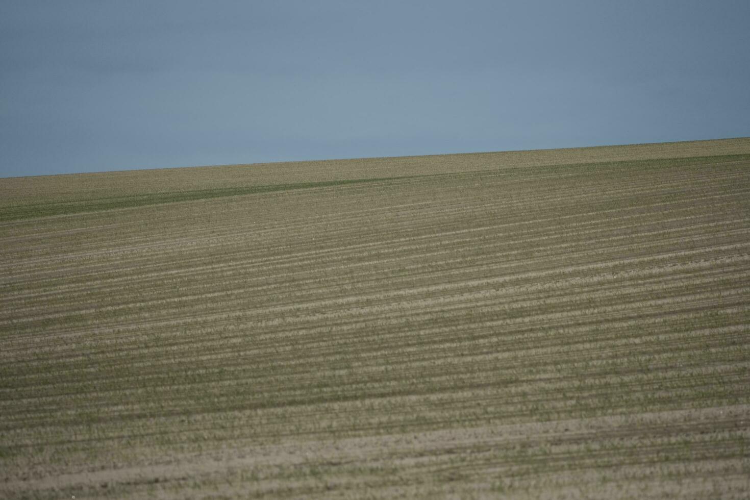 plowed field in the morning photo