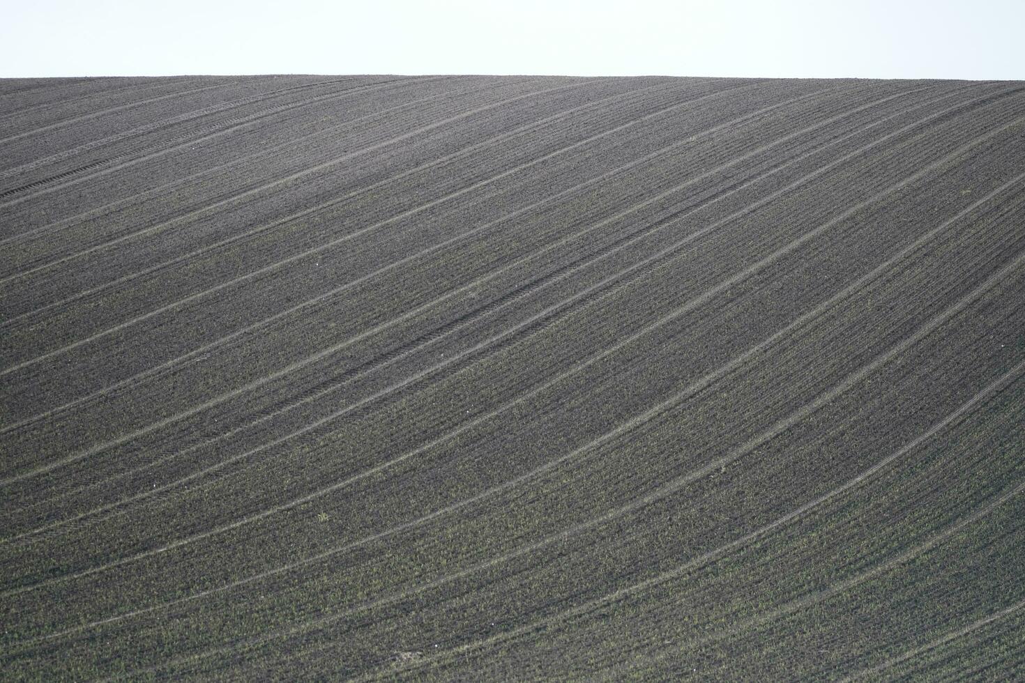 plowed field in the morning photo