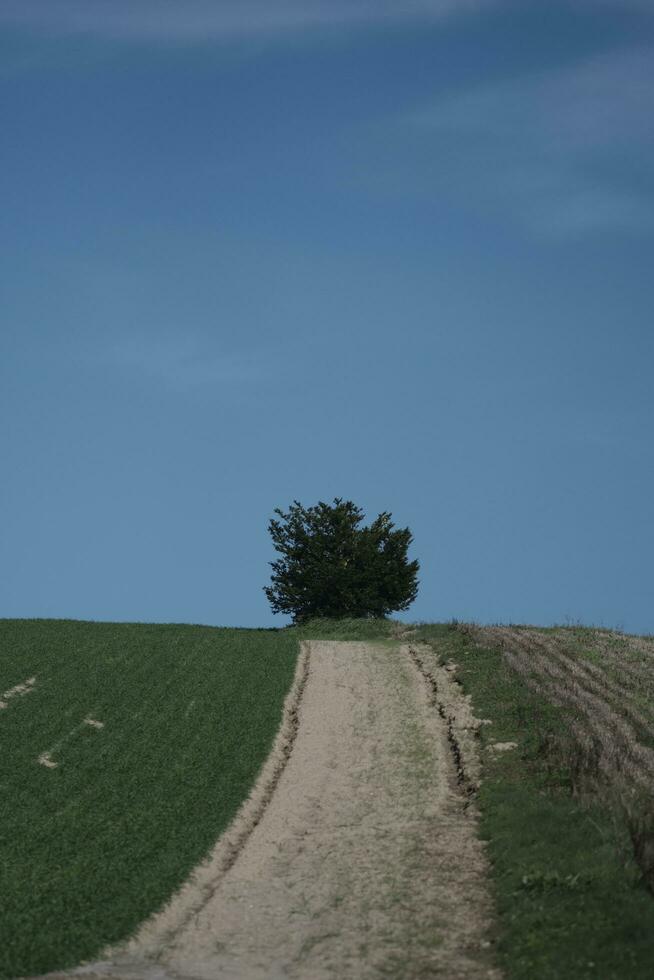 road in the mountains and countryside photo