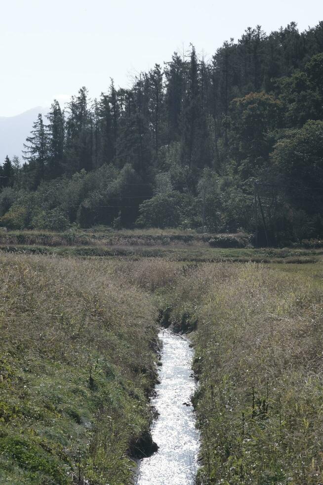 river path in the mountains photo