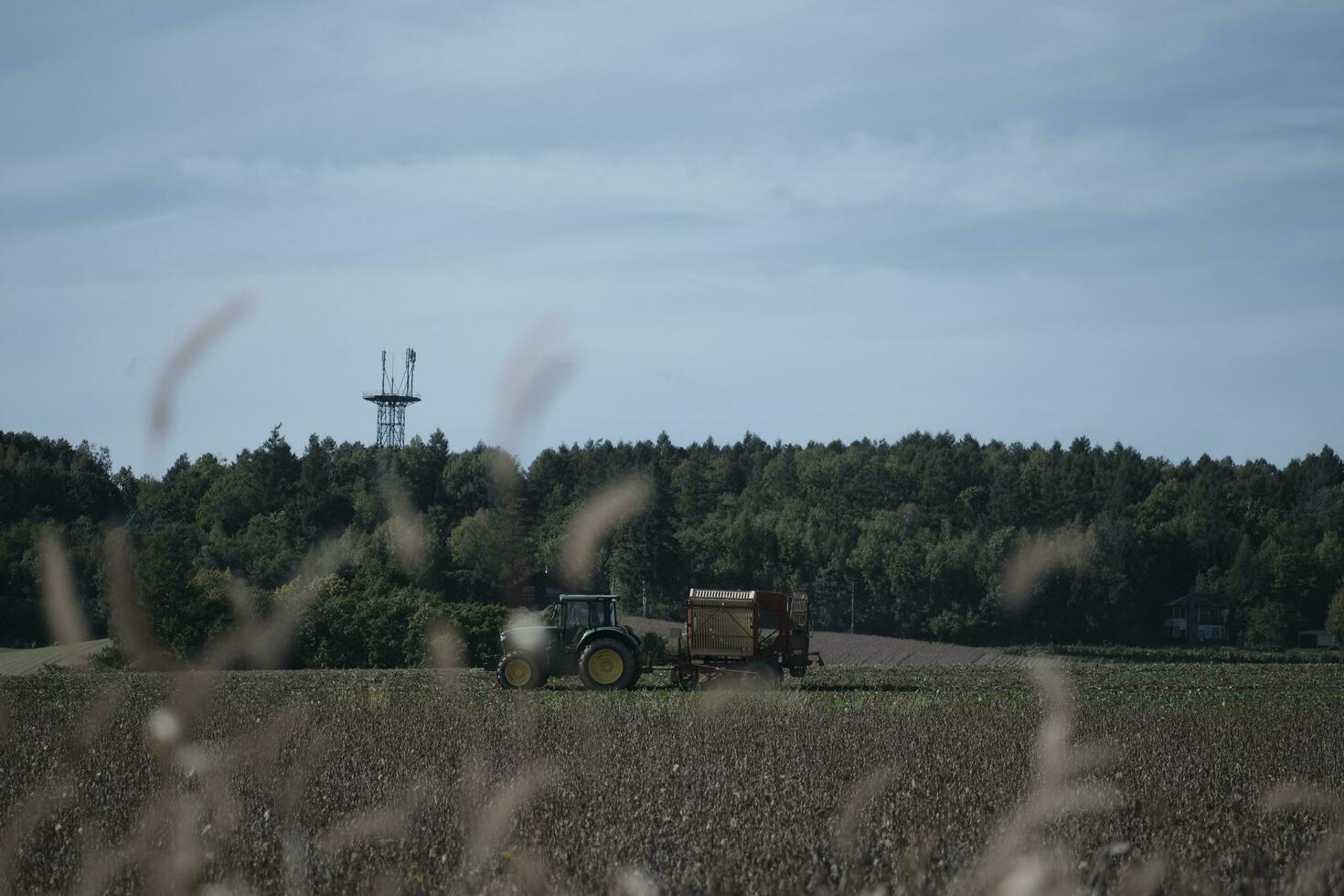 combine harvester working in a field photo