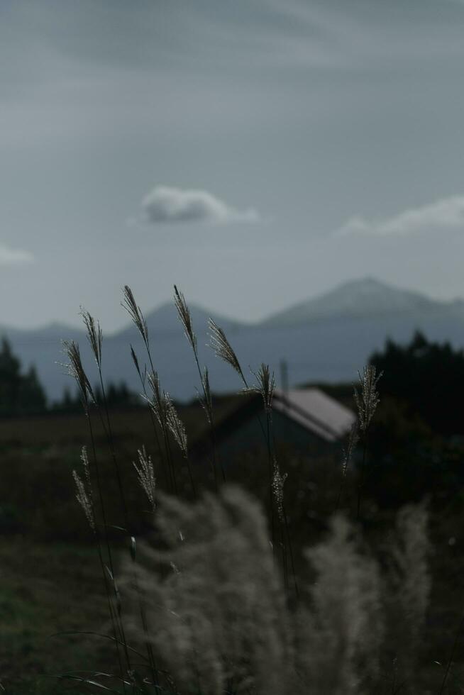 clouds over the mountains and farms photo
