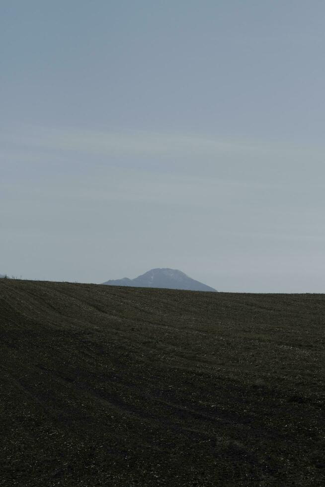 plowed field in the morning photo