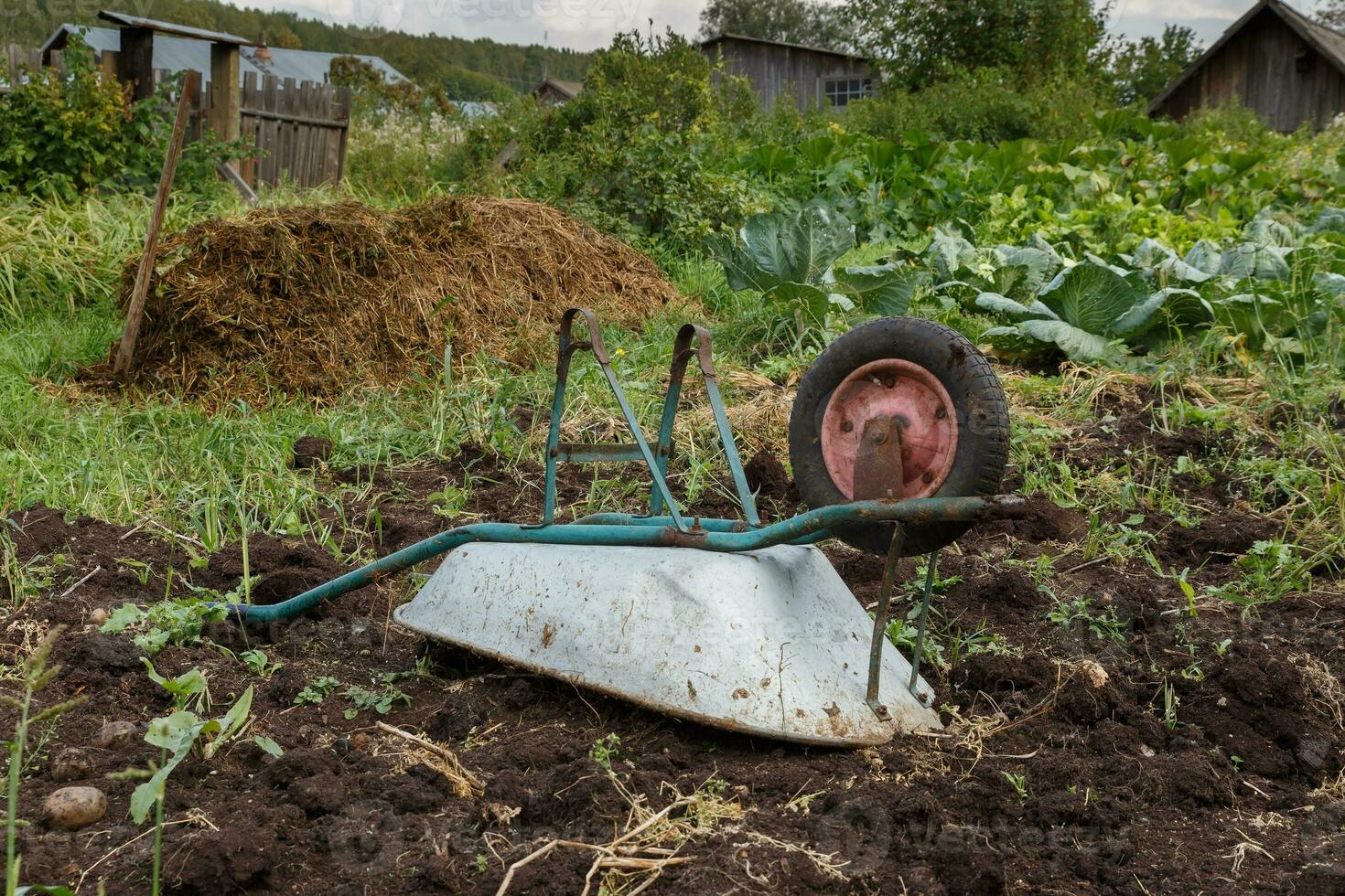 overturned wheelbarrow in the garden. photo