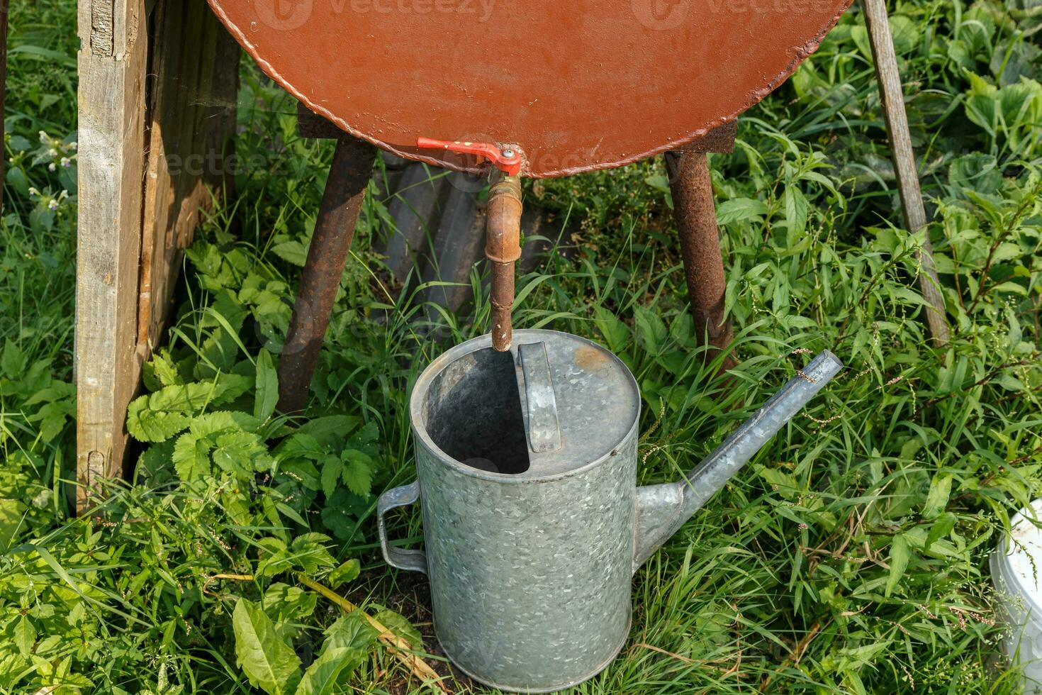 Rain barrel and watering can in vegetable garden photo