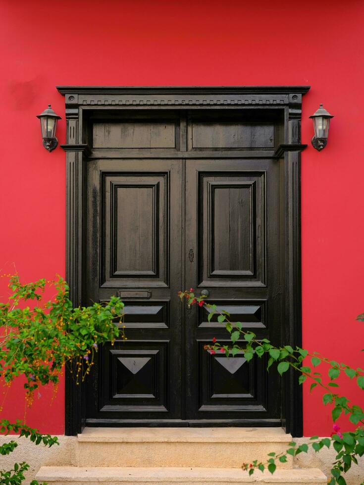 A black door and red wall in front of a plant photo