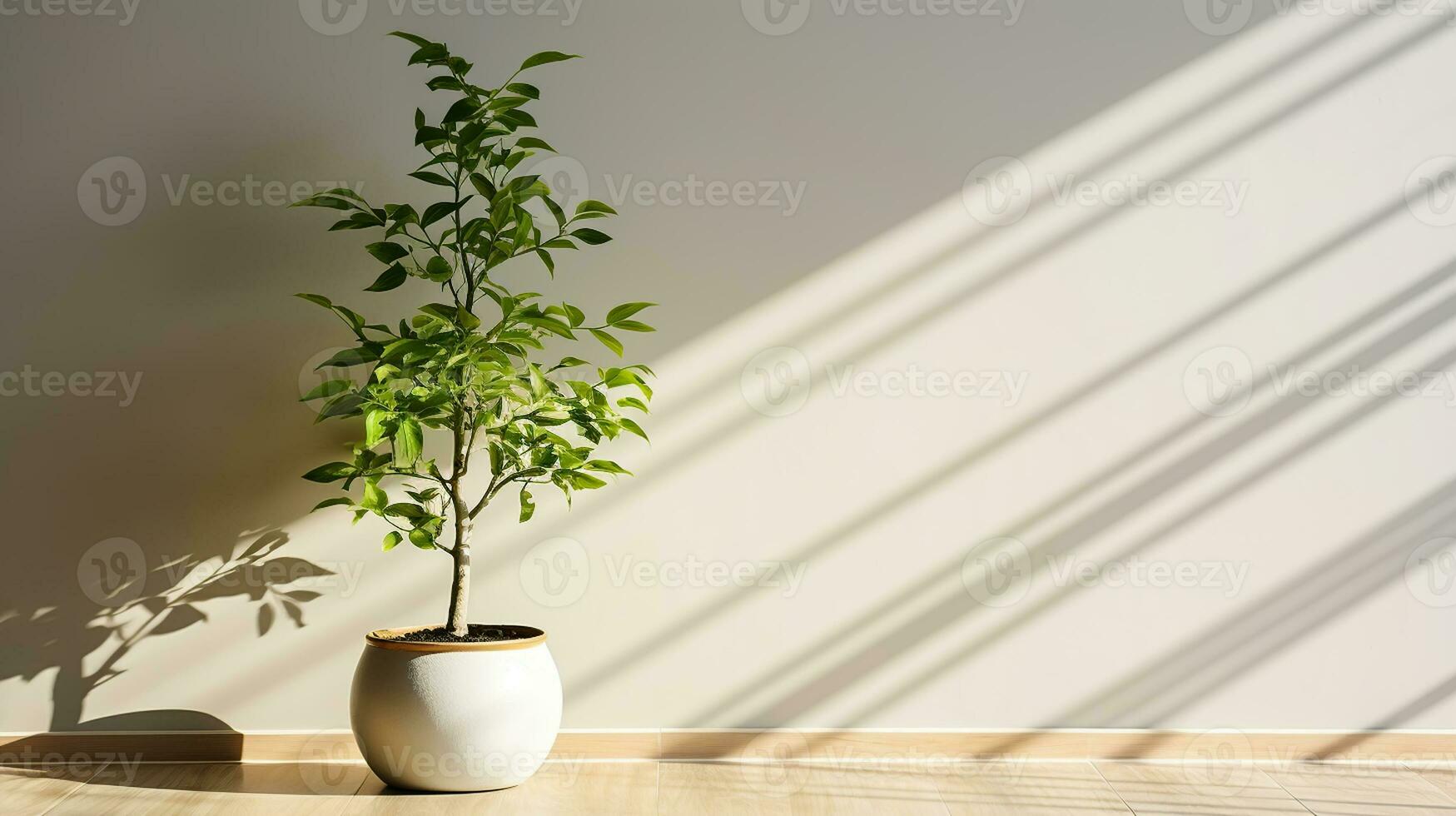 Beautiful house plant in the pot set beside the wall with sun light shine in showing beautiful shadow. Generative AI photo