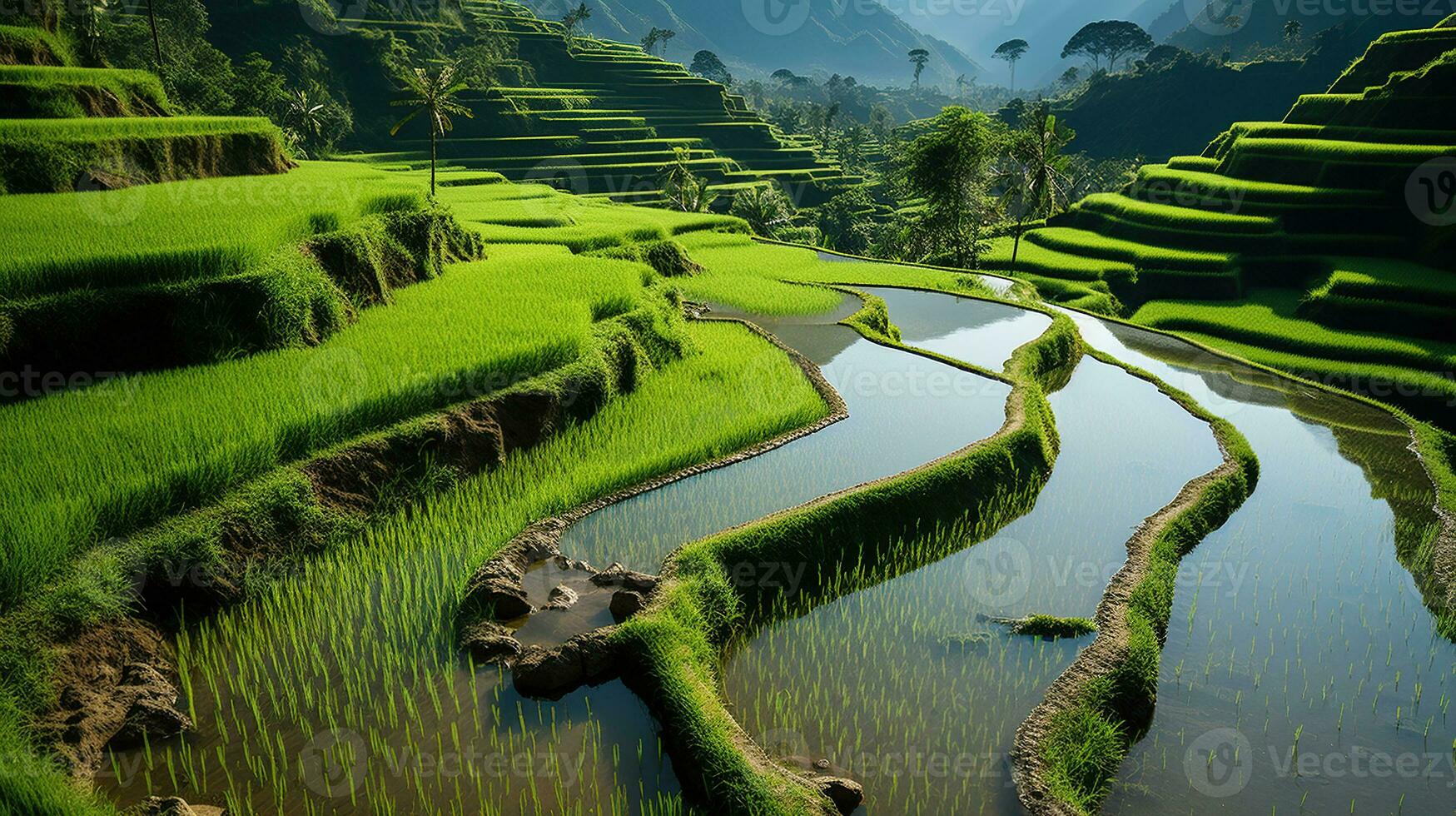 The Beauty of Rice Fields. Generative AI photo
