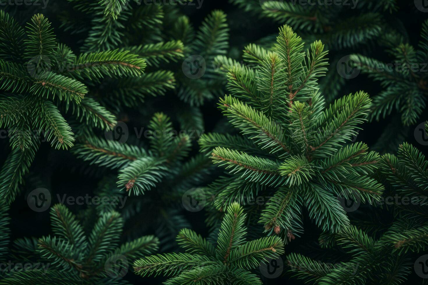 Fir tree branches background. Christmas wallpaper concept. Generative AI photo