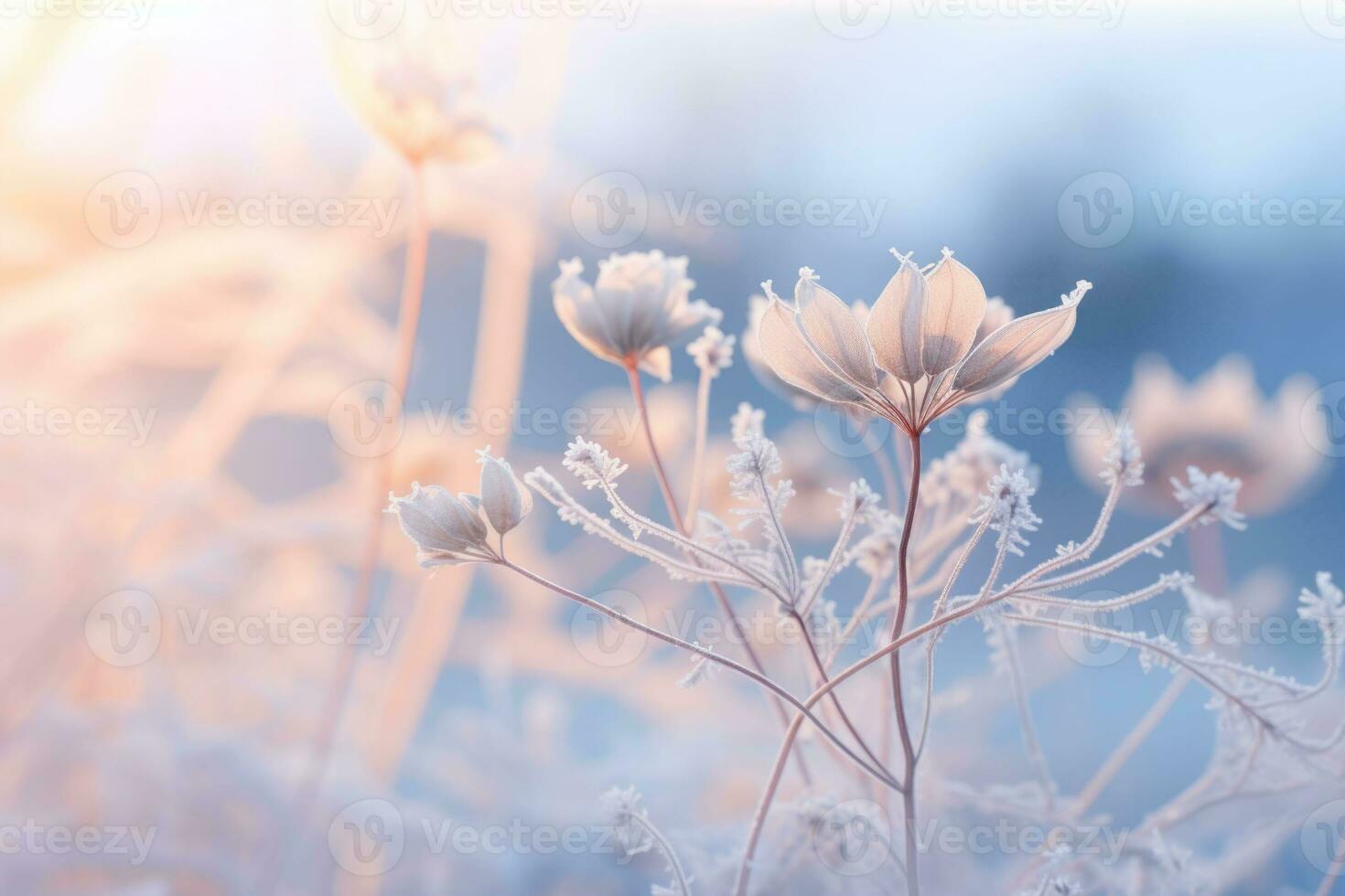 Frozen icy flowers in winter. Winter scene. Generative AI photo