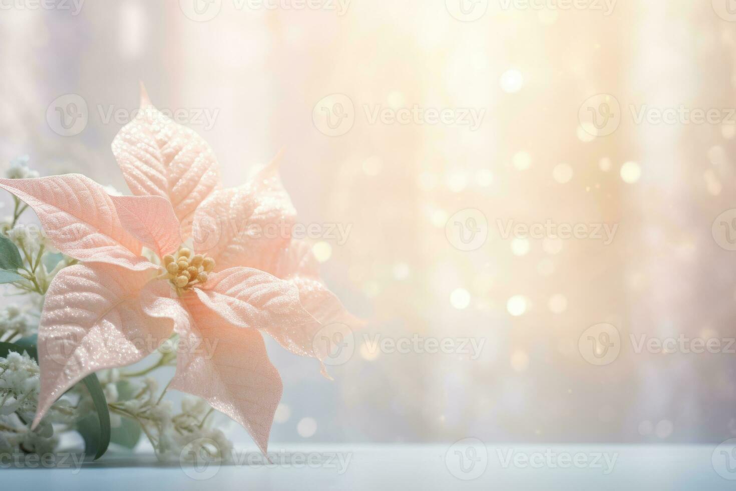 Arrangement with lace and pink poinsettia flowers on pastel background. Generative AI photo