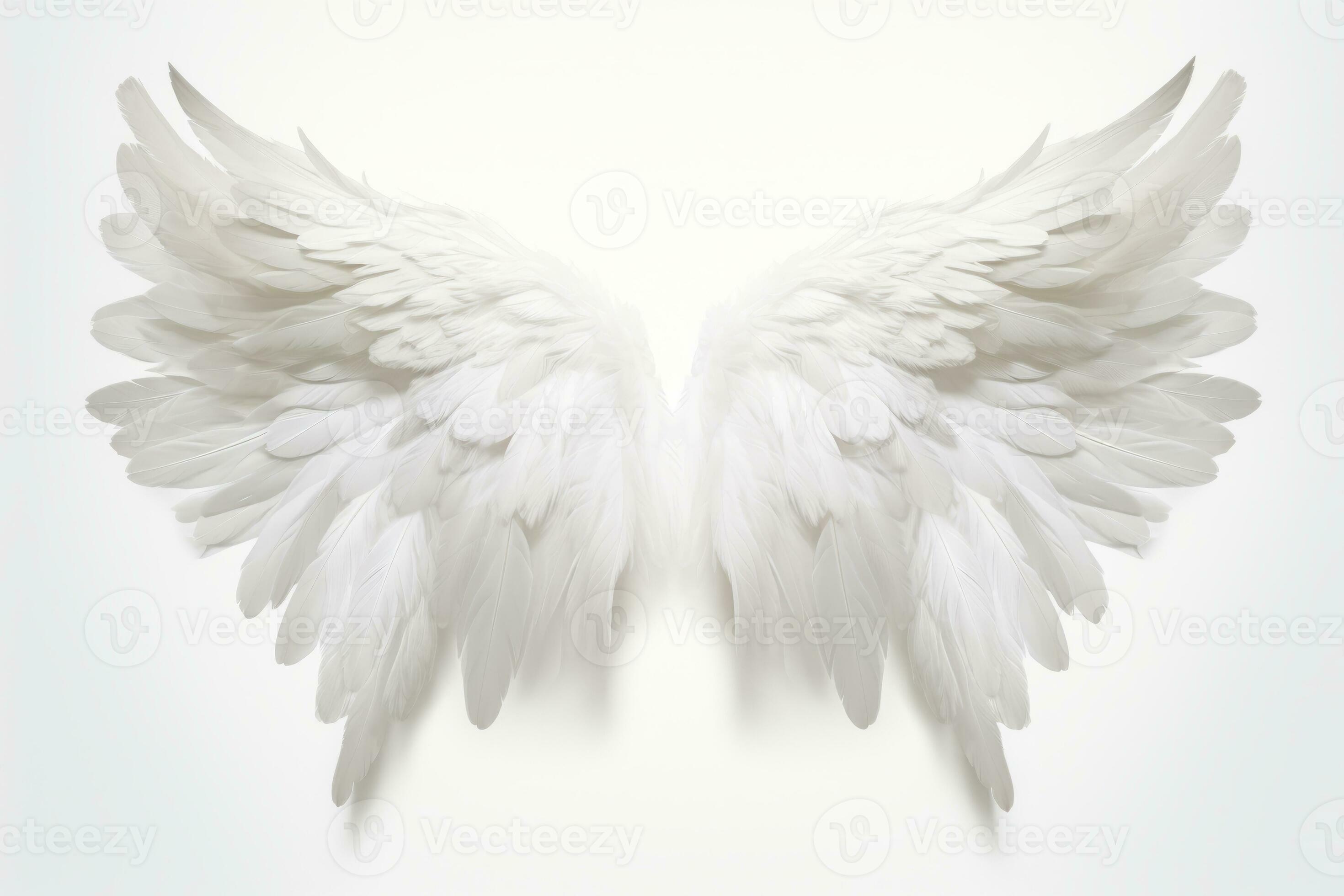 White Feathered Angel Wings White Feathered Angel Wings