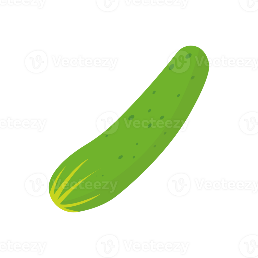 Cucumber. Cucumber on transparent background. png