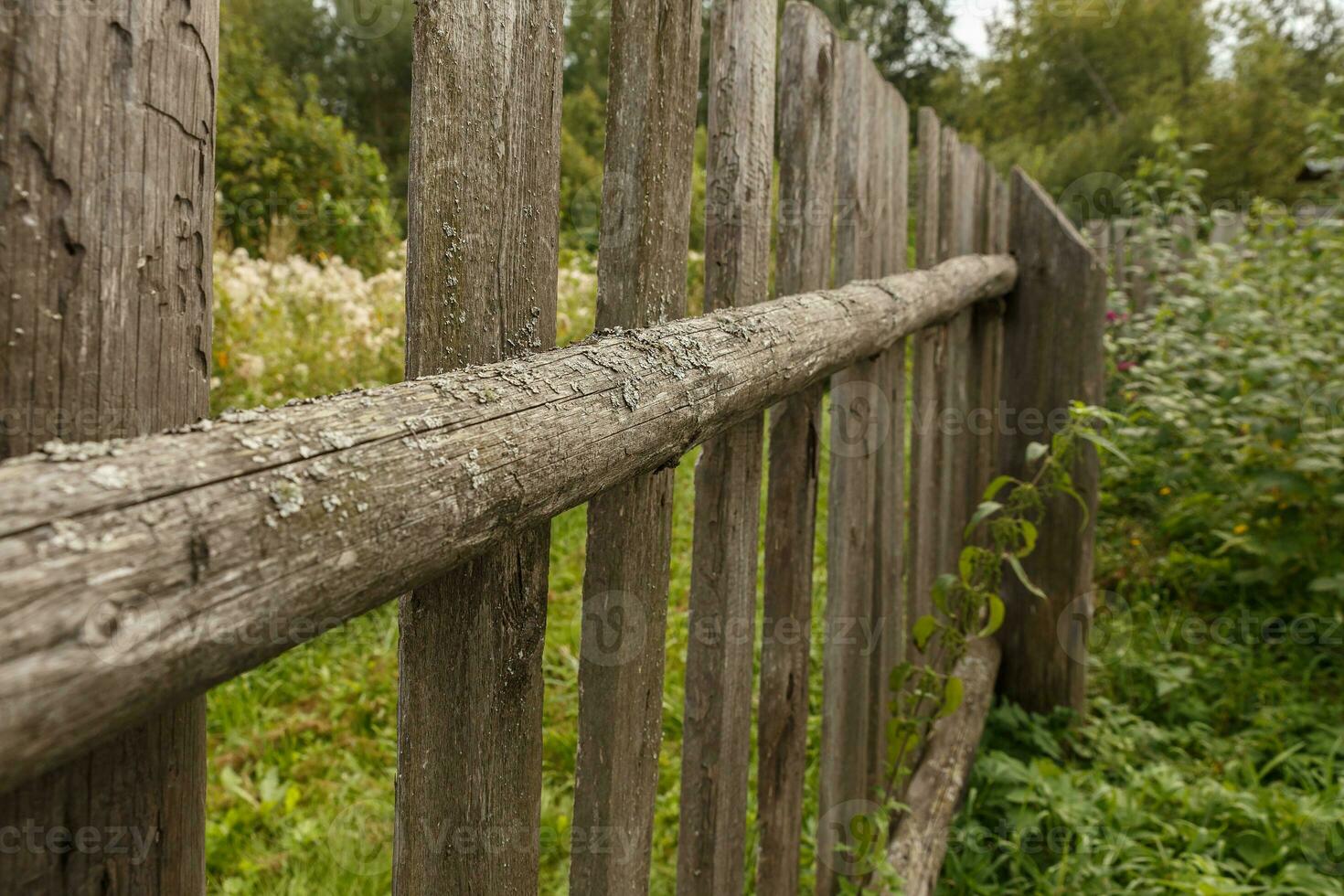 old wooden fence from boards photo