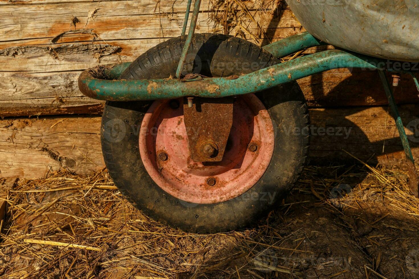 Wheelbarrow rusty wheel close-up. garden cart stands near the wall of the barn. photo