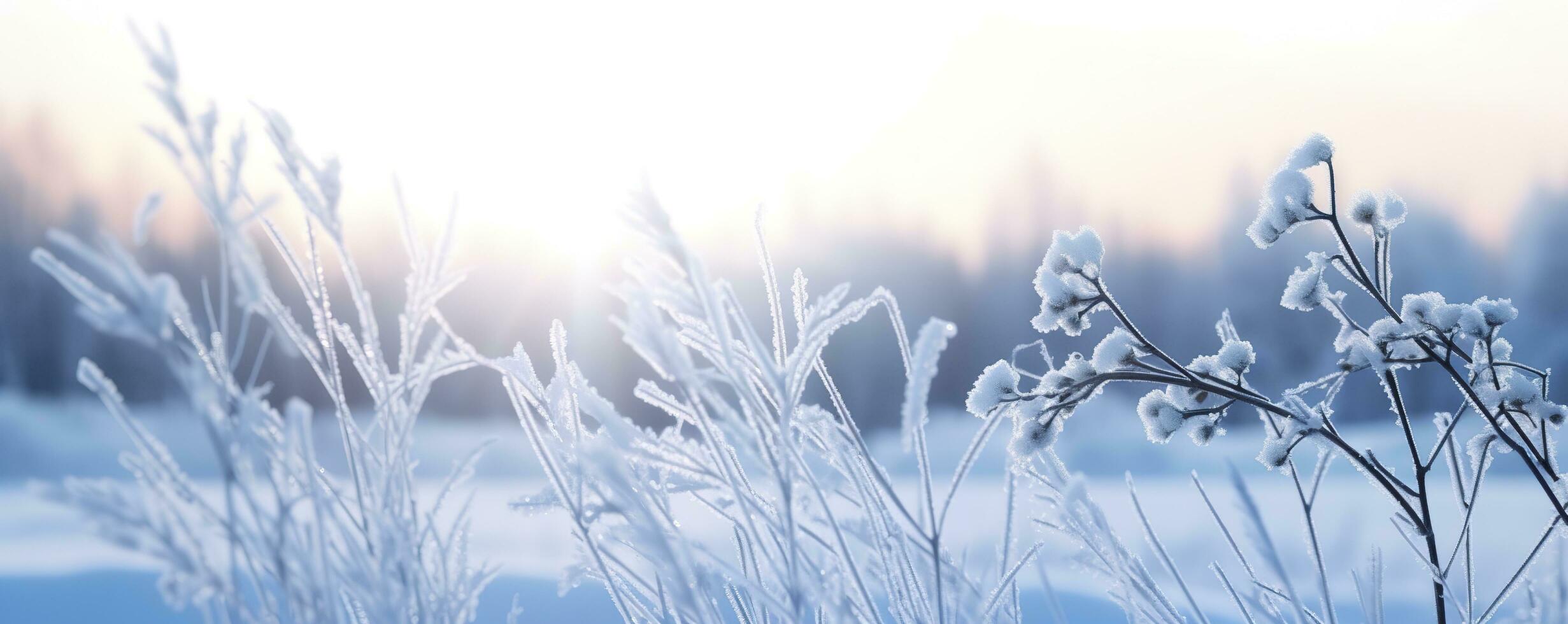 Frozen snowy grass, winter natural abstract background. beautiful winter landscape. AI Generated photo