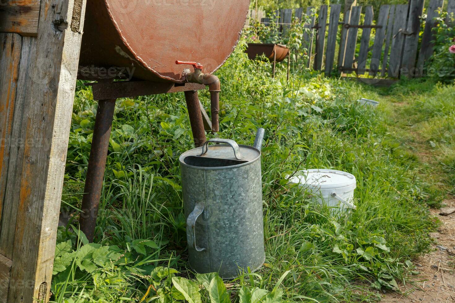 Rain barrel and watering can in vegetable garden photo