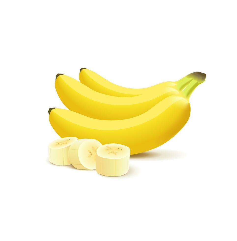 Ripe banana fruit isolated on white background. vector