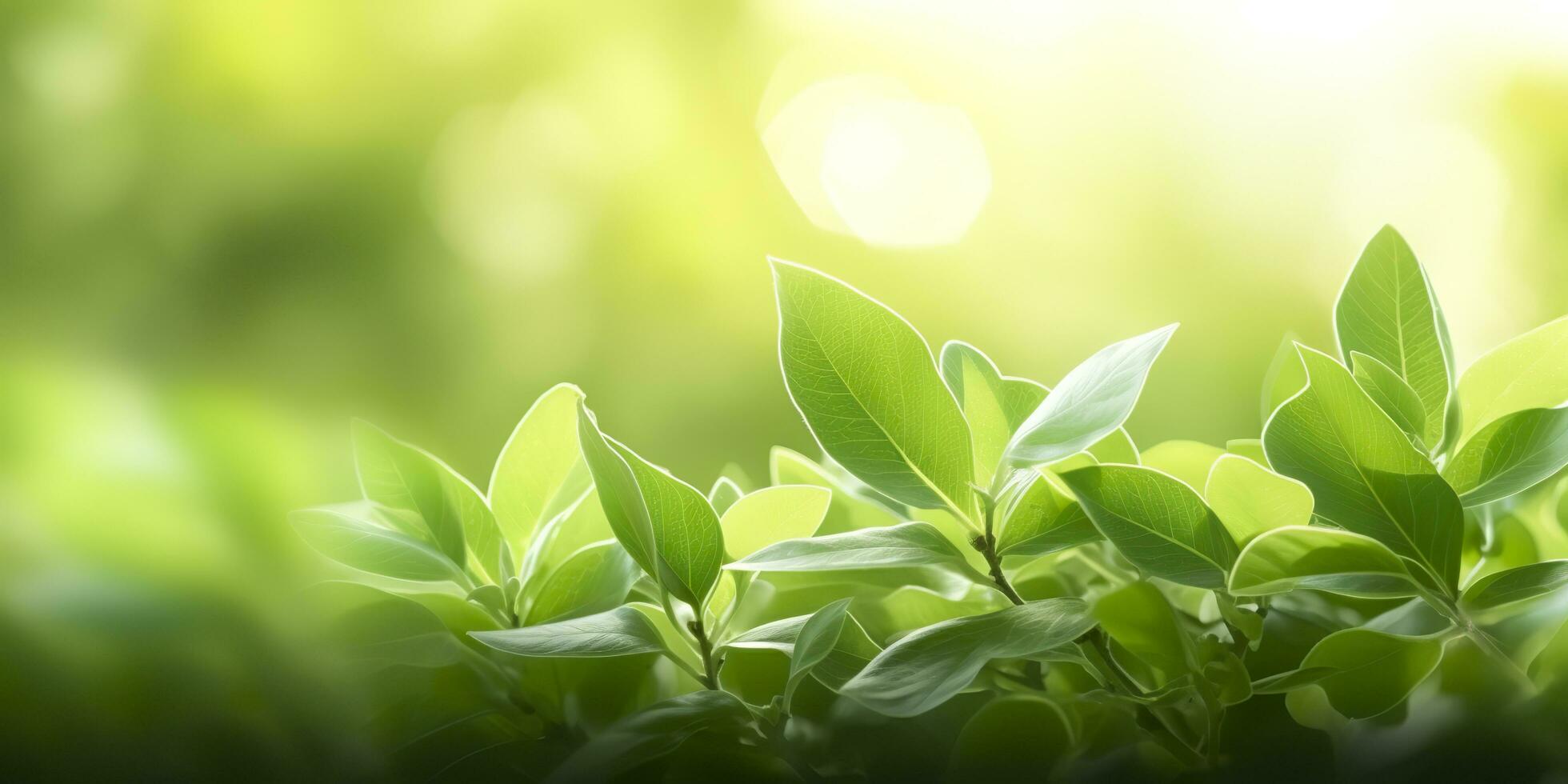 Close up of nature view green leaf on blurred greenery background. Generative AI photo